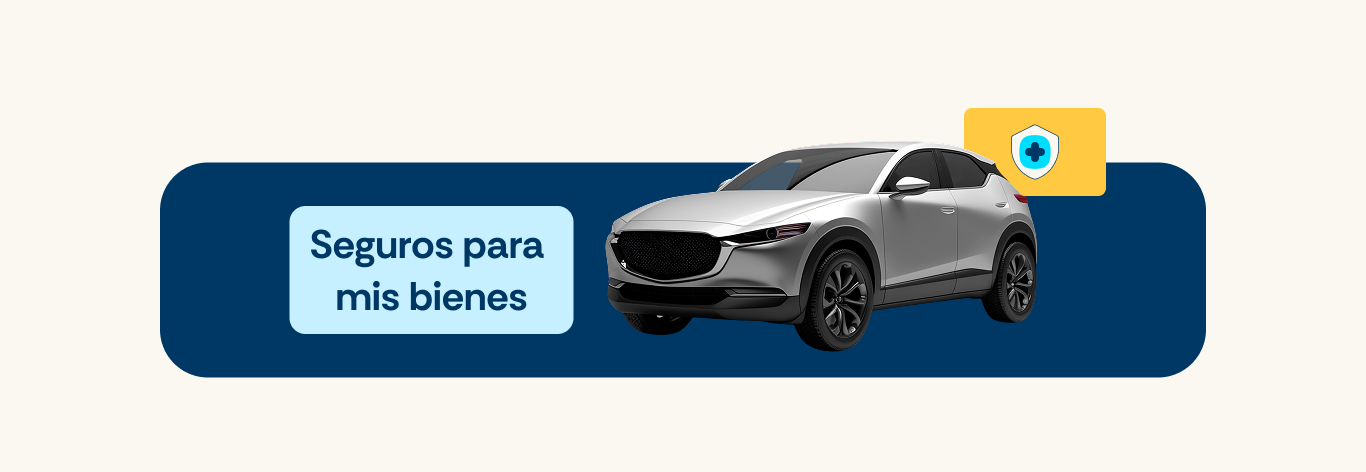Seguros para mis bienes
